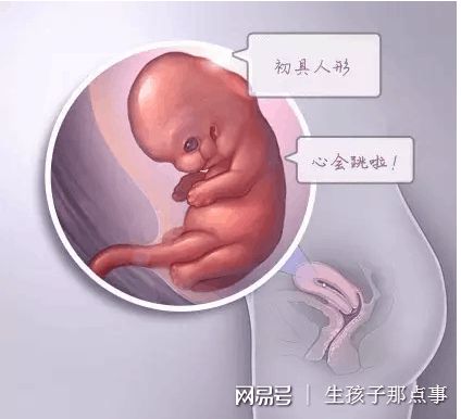 无精症案例